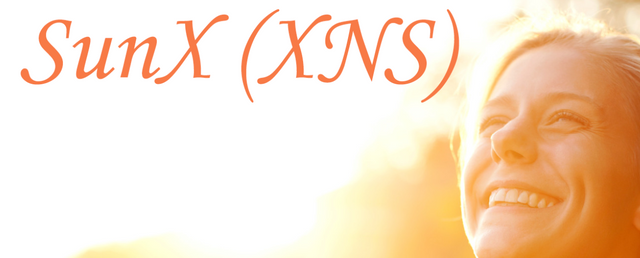sunx image.png
