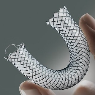 Biliary Stent.jpg