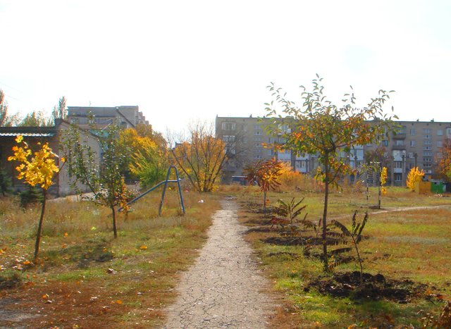 DSC03099.JPG