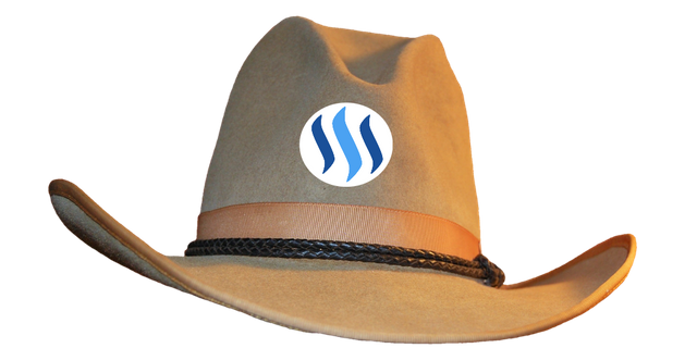 WesternLogo.png