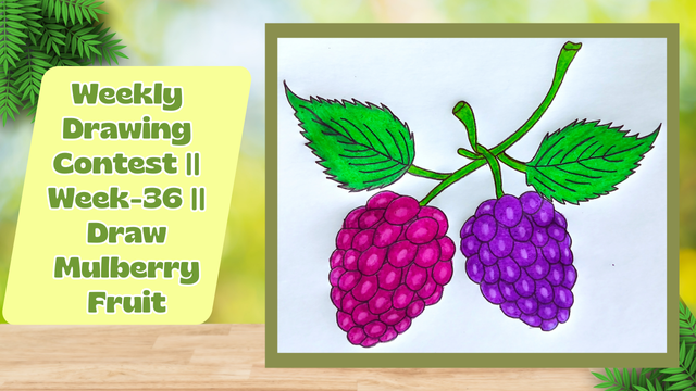 Weekly Drawing Contest  Week-36  Draw Mulberry Fruit.png