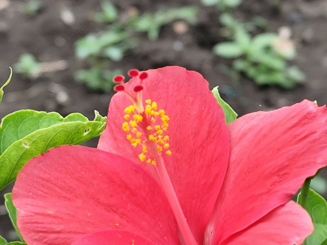 IMG_20250720_201759.