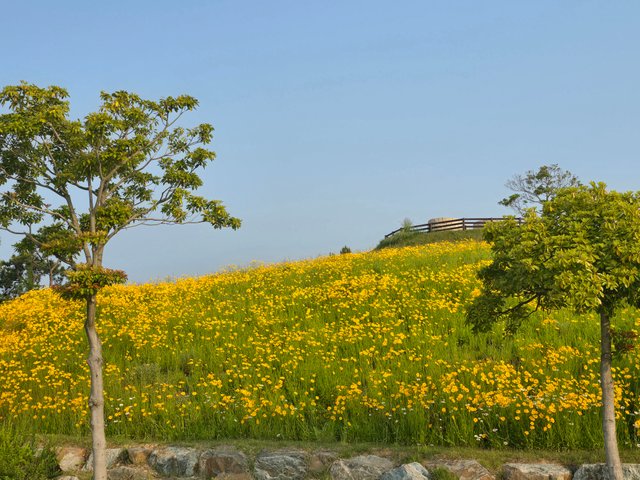 20250529_072453.jpg