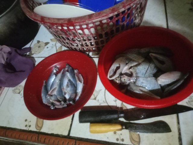 IMG20250819121428.jpg