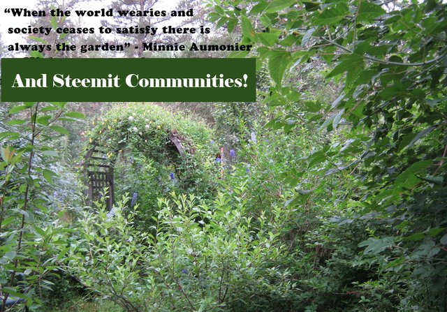 gardening post world weiry with Steemit communities on it.jpg