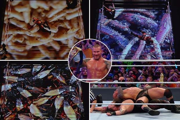 bray-wyatt-forgives-randy-orton-for-burning-down-the-wyatt-compound-randy-orton-explains-why-he-did-it.jpg