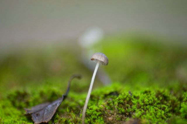 _AHW3663.jpg