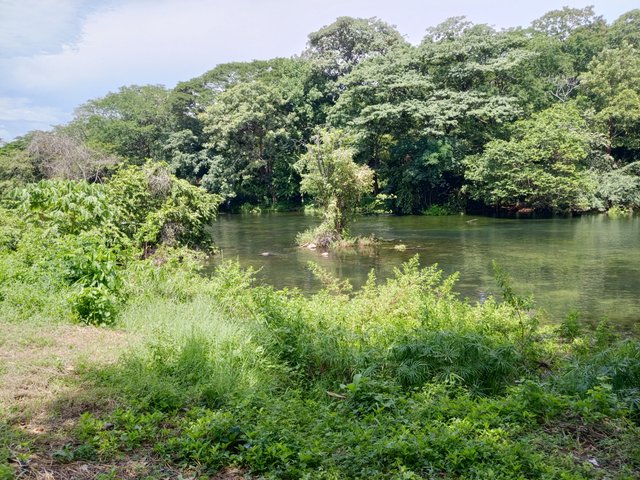 IMG_20251005_131205_309.jpg