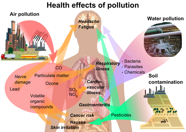 1280px-Health_effects_of_pollution.png