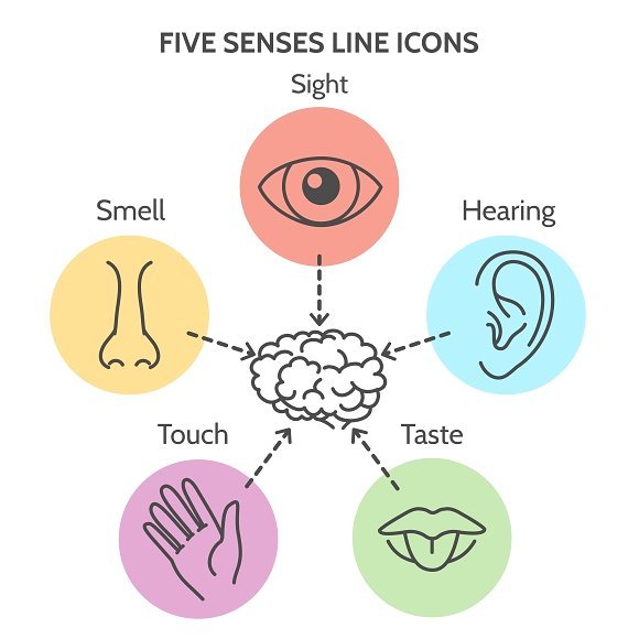 five senses — Steemit