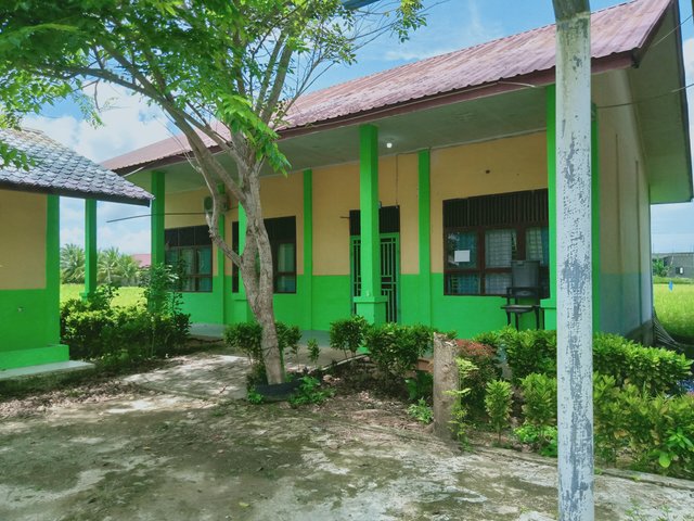 IMG20250312124315.jpg
