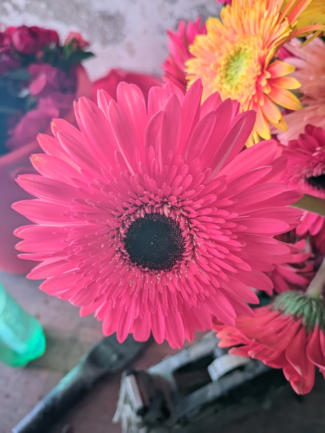 RIYAN_20230603_123324_👫Vivid Color .jpg