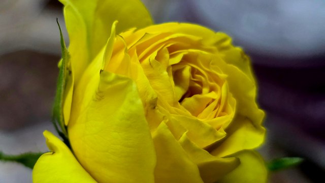 20250512_001747.jpg