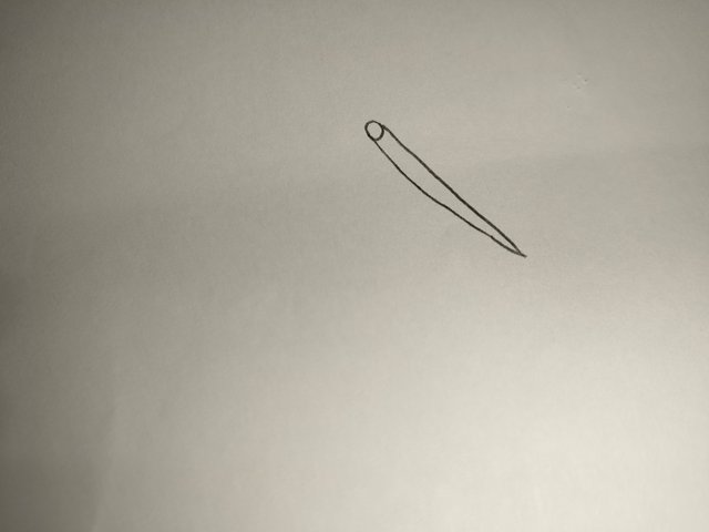 IMG20250515204420.jpg