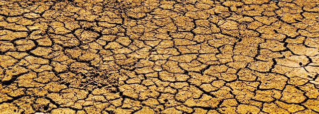 Parched-Dry-Desert-Lack-Of-Rain-Dry-Season-Drought-3368860 (1).jpg