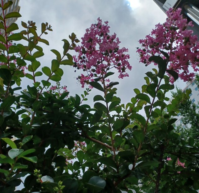 20250713_114614.jpg