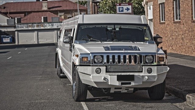 hummer-1180325_640.jpg