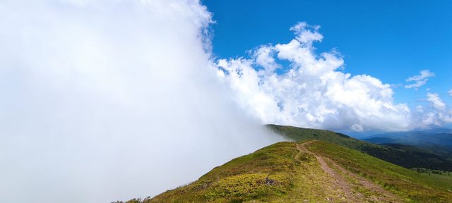 Stara Planina 3.jpg