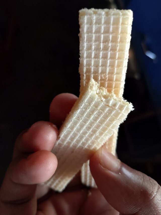1000042575.jpg