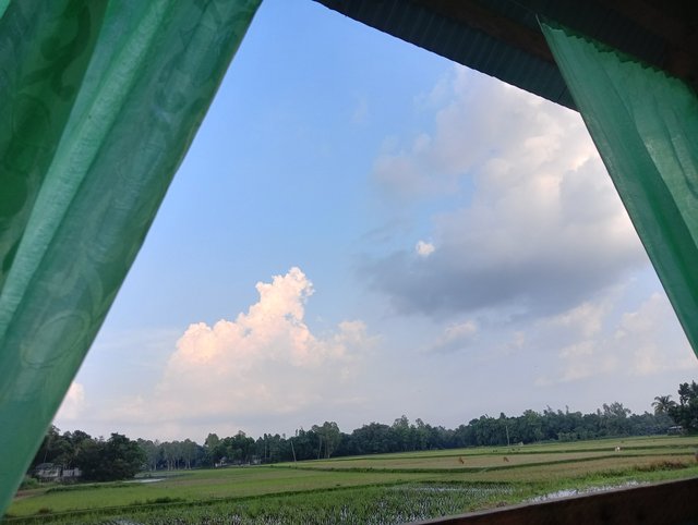 IMG20250612173658.jpg