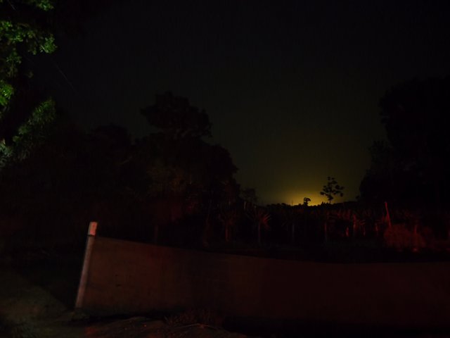 IMG_20250321_190422.jpg