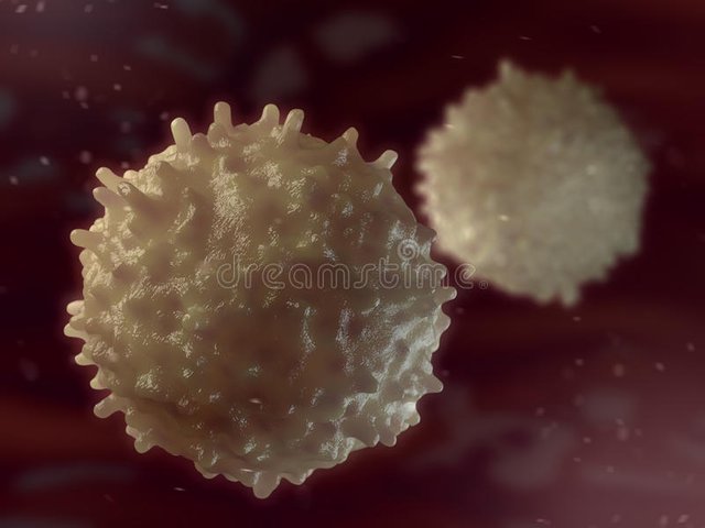 b-lymphocyte-immune-cell-antibody-producing-68791145.jpg