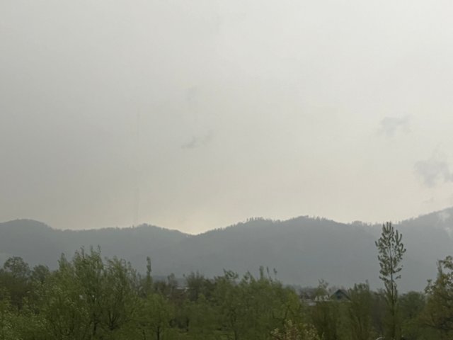 IMG_3331.jpeg