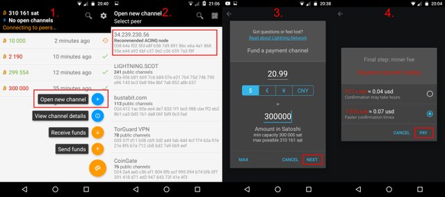 5_lightningWallet_openChannel4.jpg