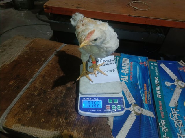 IMG20250601162644.jpg