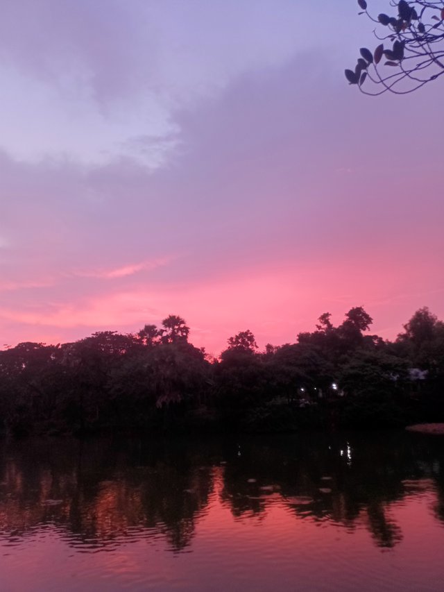 IMG20250905181757.jpg