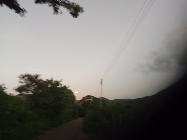 IMG_20250908_055953.jpg