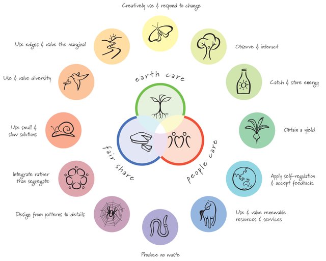 Principle_Wheel_with_type.jpg