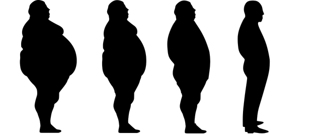 lose-weight-1911605_1280.png