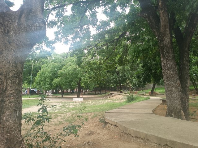 IMG_20250611_102604_681.jpg