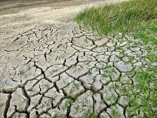 climate-change-2241061__480.jpg