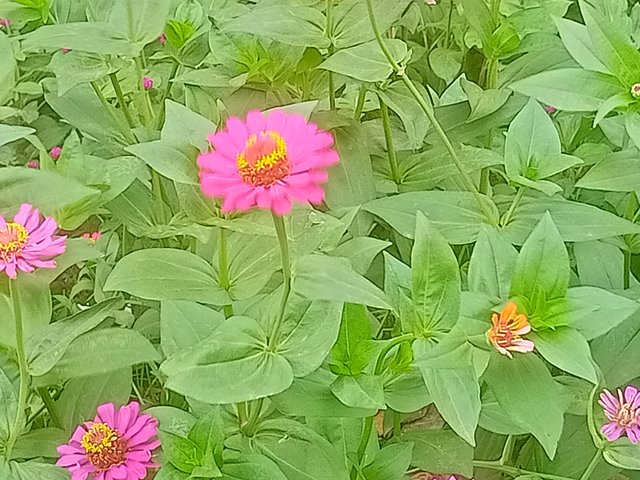 IMG20250429143908.jp