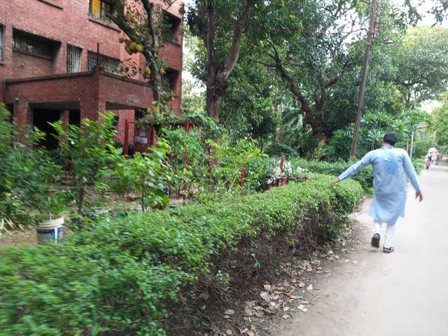 IMG_20240531_181711_810.jpg