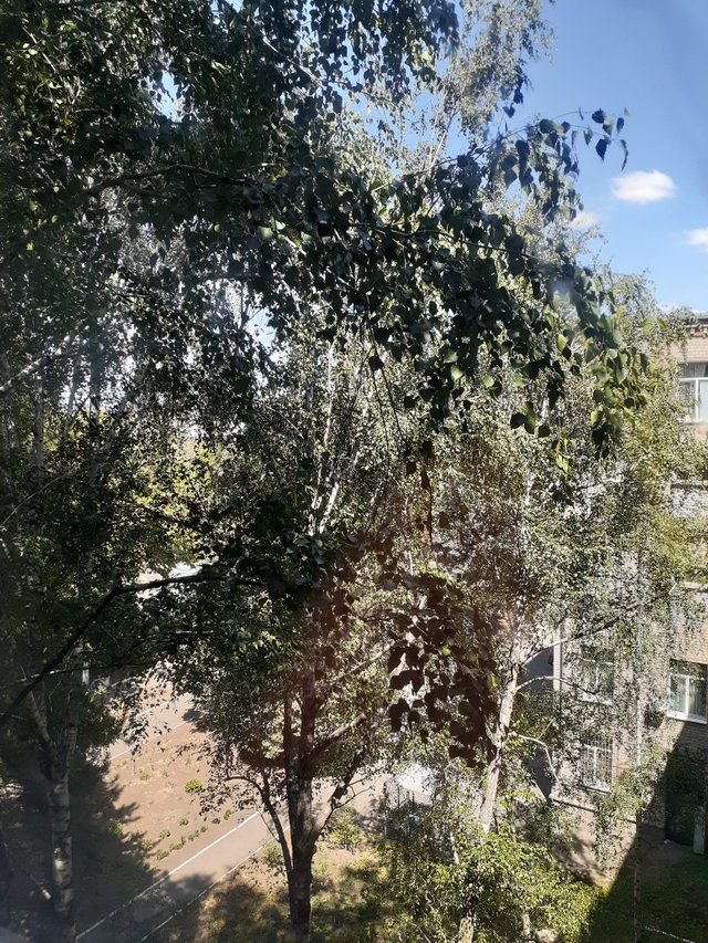 20250802_132436.jpg