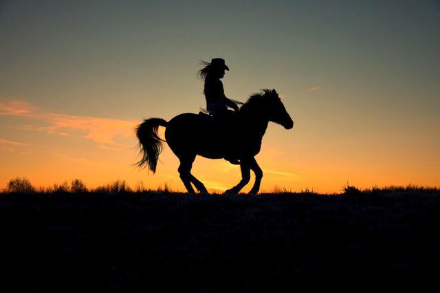 Cowgirl Sunset edited (1).jpg