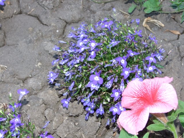 DSCF0199.JPG