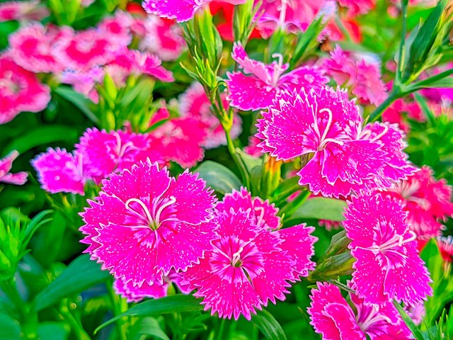 LMC_20250122_153742_🌈Color boost by Riyan .jpg