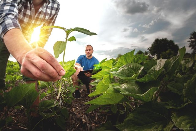 Agriculture-and-rural-development_web2.jpg