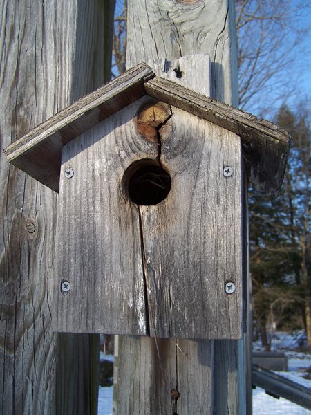 Bird house crop December 2019.jpg