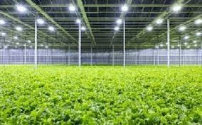 Commercial Cannabis Dehumidifiers.jpg
