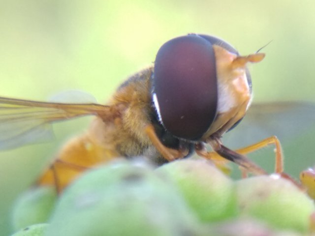 IMG_20210907_173017.jpg