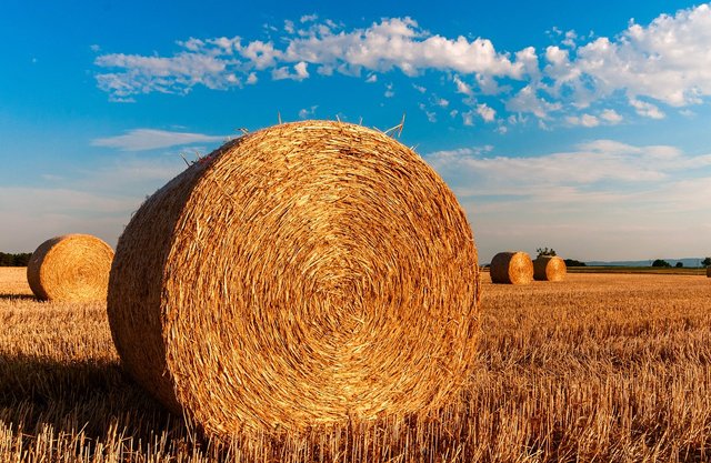 hay-bales-726976_1280.jpg