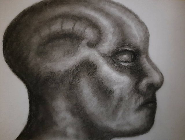 20250814_105802.jpg