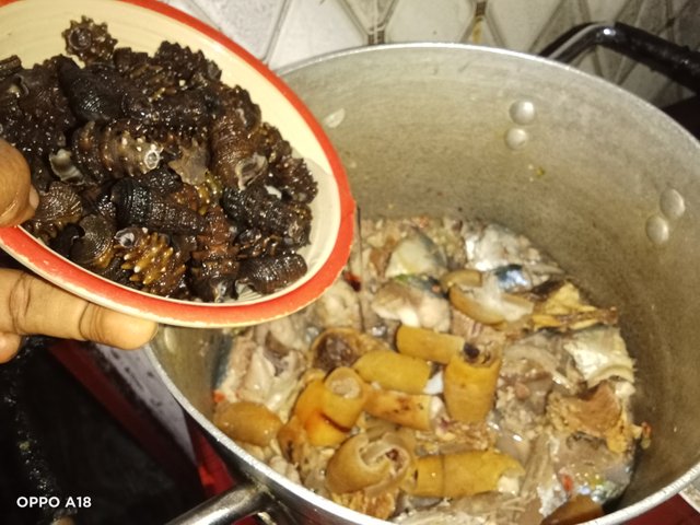 IMG20250719155523.jpg