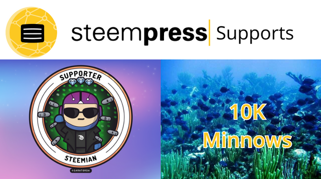 SteenPress supports utopian 10k minnow.png