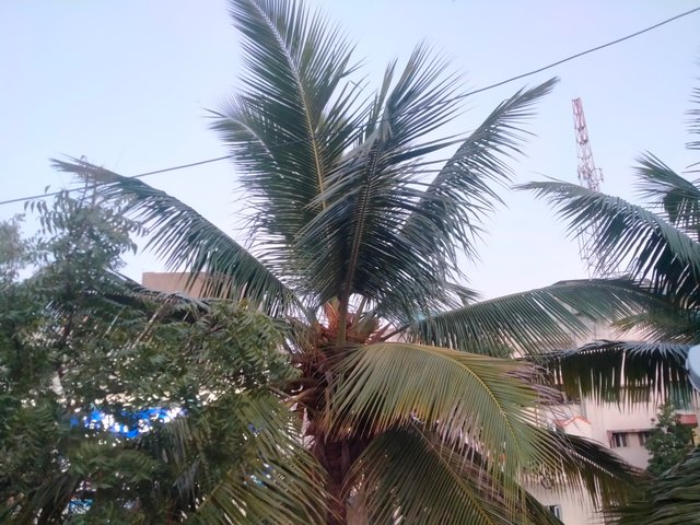 IMG20220915182424.jpg